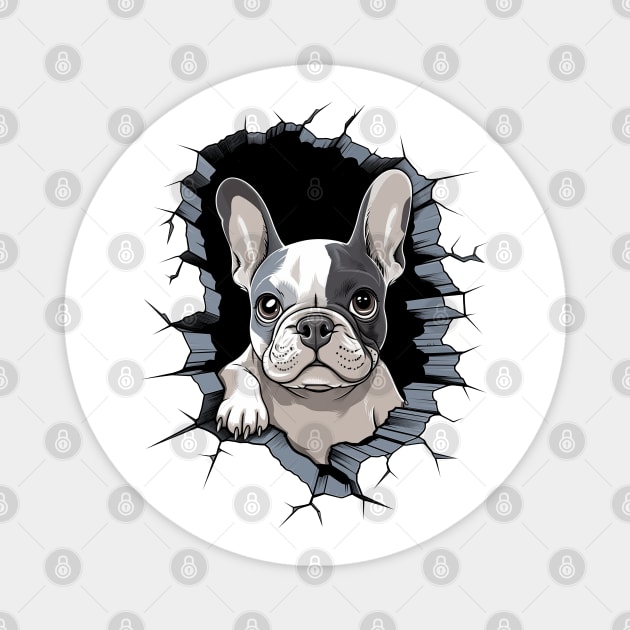 Boston Terrier in a Wall Magnet by Shinzomaru 